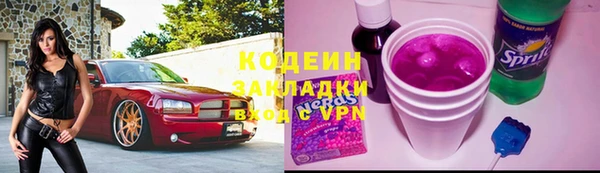 ПСИЛОЦИБИНОВЫЕ ГРИБЫ Арсеньев