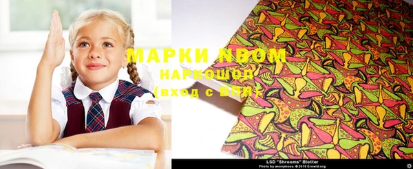 ПСИЛОЦИБИНОВЫЕ ГРИБЫ Арсеньев