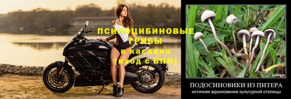 дмт Волоколамск