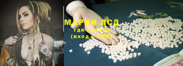 ПСИЛОЦИБИНОВЫЕ ГРИБЫ Арсеньев