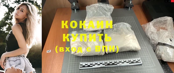 ПСИЛОЦИБИНОВЫЕ ГРИБЫ Арсеньев